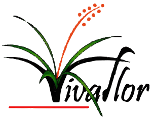 Vivaflor-Logo