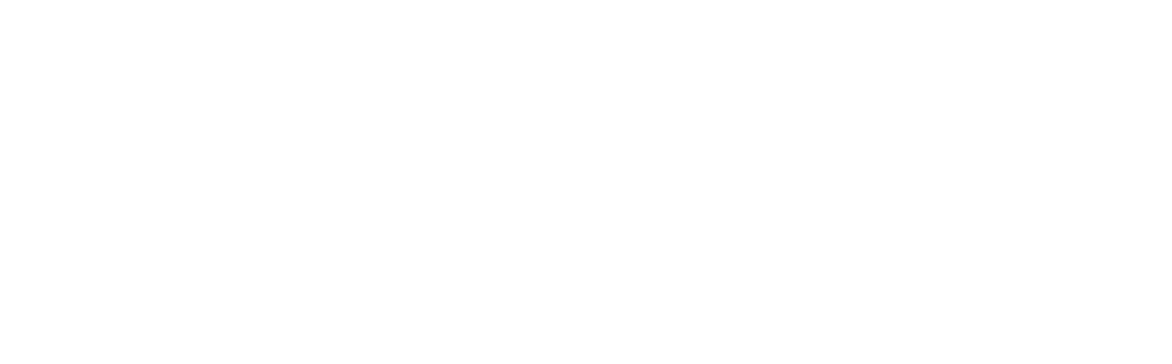 bromelia-red-paloma