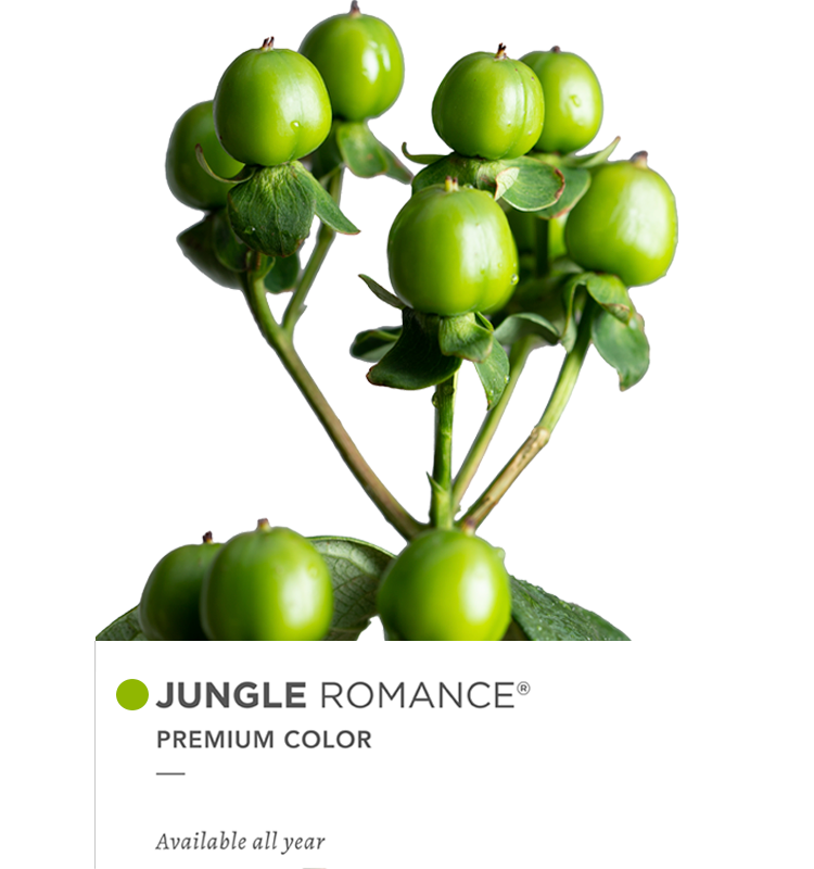 junglew