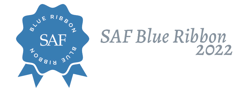 SAFAwards2