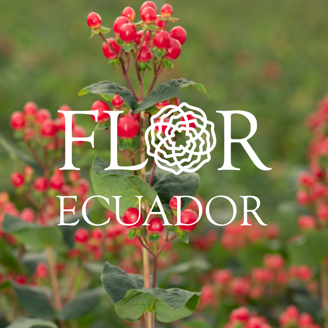 florecuador