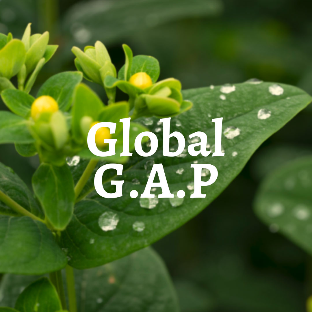 gap3