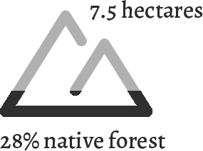 terreno6