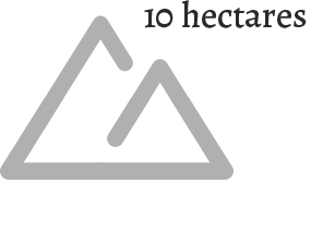 terrenoflorencanto2