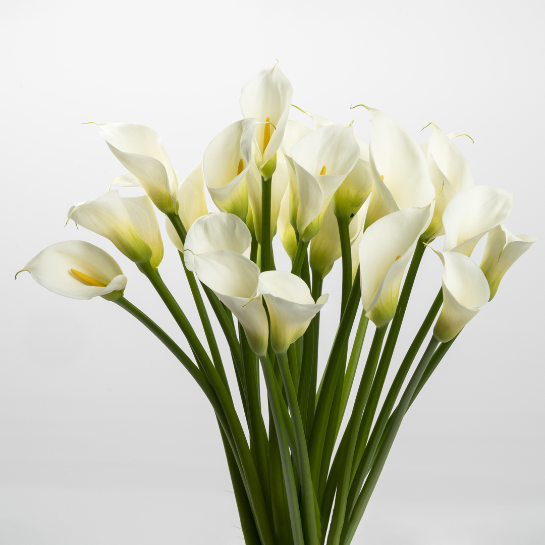 2flor