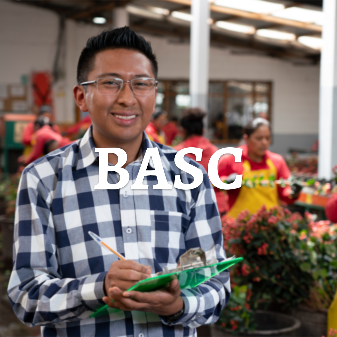 BASC-NUEVO