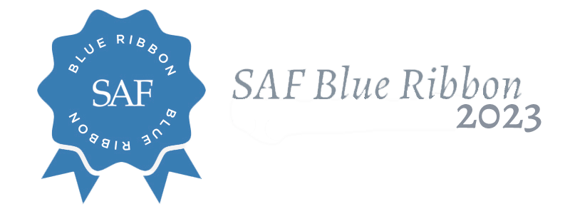 blueribbon2023