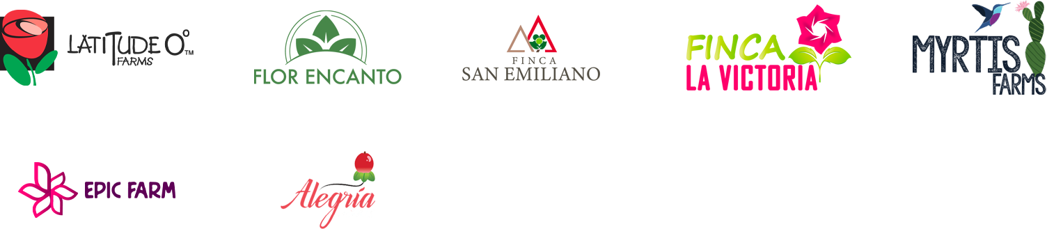 logojuntosapo3
