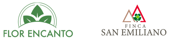 sanemilianoflorencanto