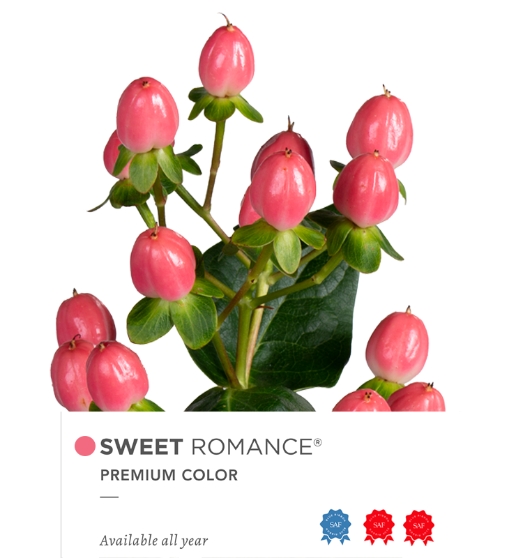 sweet-redribbon2